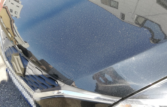 車の花粉のシミ除去 花粉の影響 対策 Yes カーコーティング